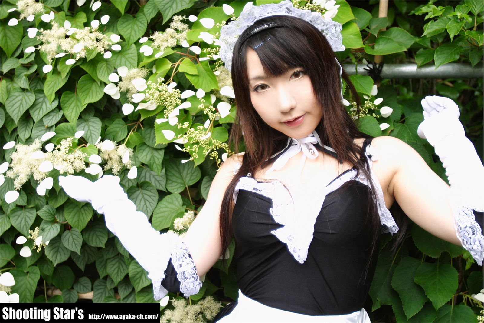 [Cosplay]  Sexy Maid with big boobs